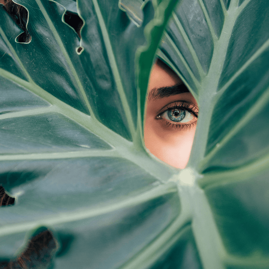 7 Benefits of Probiotic Skincare