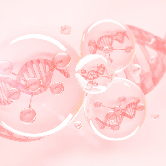 Why We Included NAD+ in Our Fountain of Firm Cream